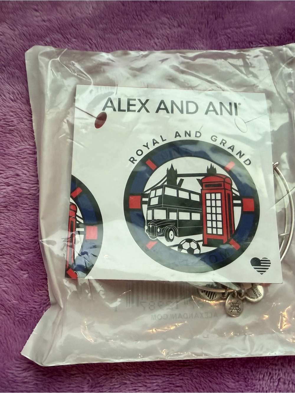 Alex and Ani London Charm Bracelet